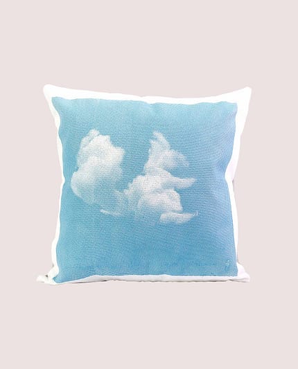 Schop_Coussin_ecureuil_coton_bleu_serigraphie_edition