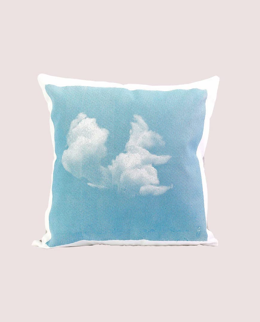Schop_Coussin_ecureuil_coton_bleu_serigraphie_edition